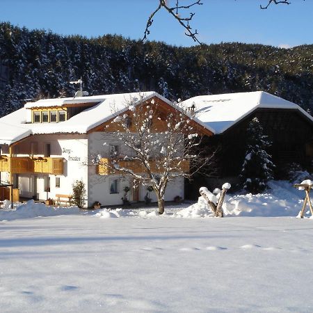 Haus Bergfrieden Apartment Castelrotto Exterior photo
